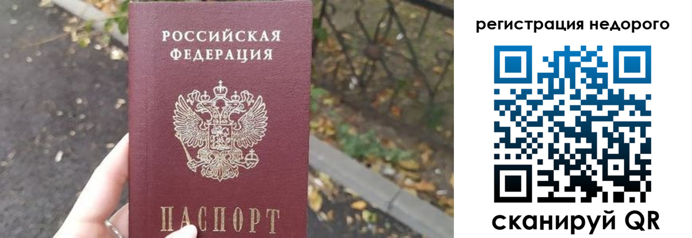 временная регистрация надежно в Приозерске